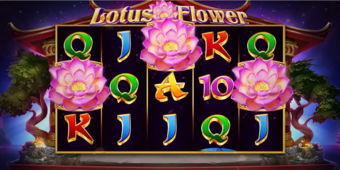 Lotus Flower - nyerési esélyeidet