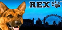 Rex nyerőgép Logo