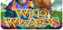 Wild Wizards Logo