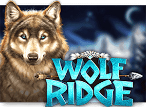 Wolf Ridge kaszinó nyerőgép